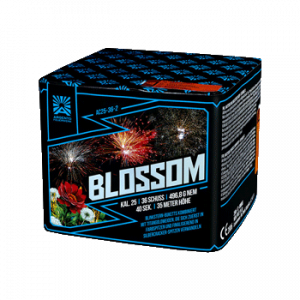 Blossom
