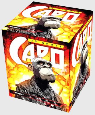 Capo ist eine 25 Schuss Batterie von SR Pyro
