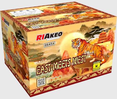 East meets West ist ein 48 Schuss Verbund von Riakeo