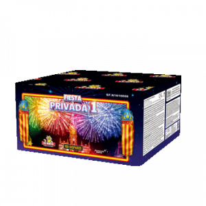Fiesta Privada 1