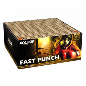Fast Punch