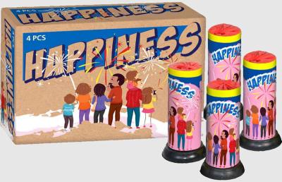 Happiness sind Fontänen von Lesli in der Kategorie F1 für Kinder ab 12 Jahren.