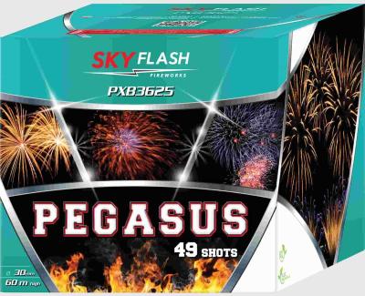 Pegasus ist eine 49 Schuss batterie von Piromax