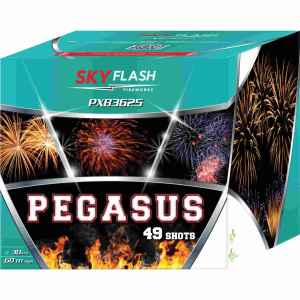 Pegasus ist eine 49 Schuss batterie von Piromax