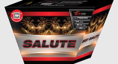 Salute 54 Schuss Fächerbatterie von Piromax feuerwerk