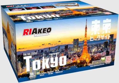 Tokyo ist ein 96 Schuss Verbund von Riakeo